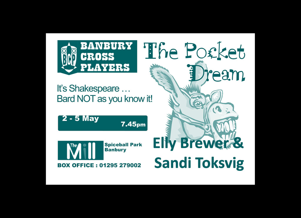 The Pocket Dream by Elly Brewer and Sandi Toksvig